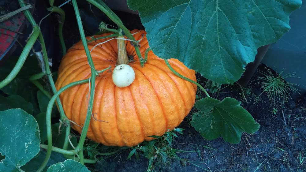 Photograph by Golikova Natalia