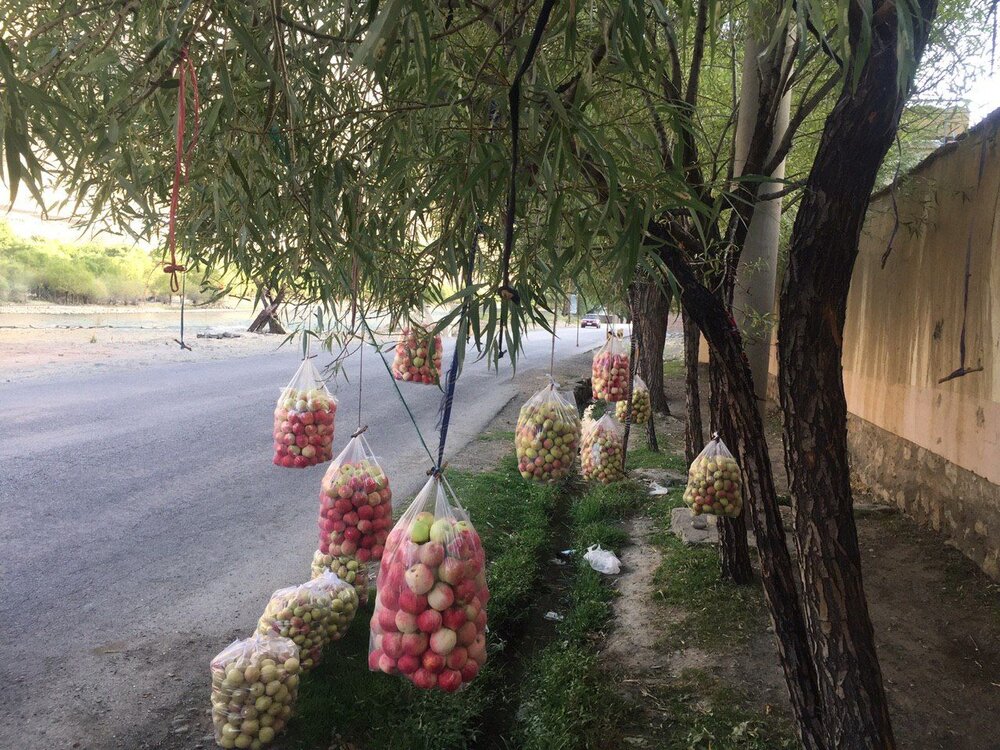 Photograph by Khusrow Elham