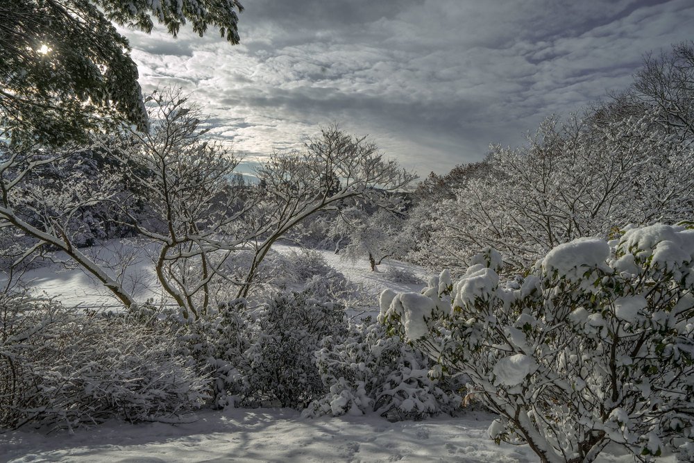 Фотография автора andrey gagarin