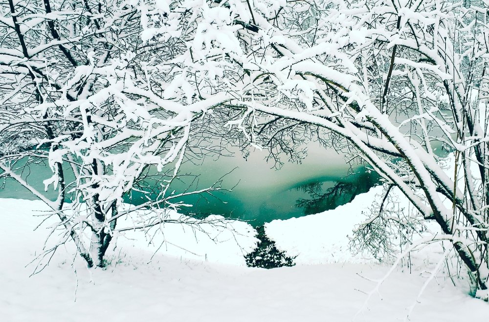 Photograph by Kristiina Soots