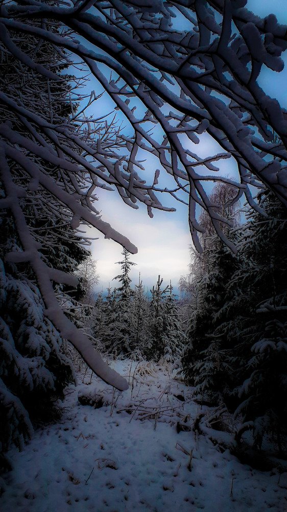 Photograph by Kristiina Soots