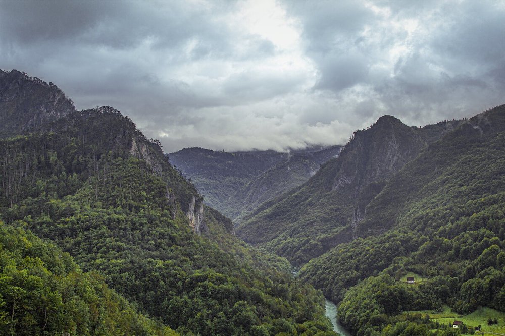 Photograph by Елена Гусева