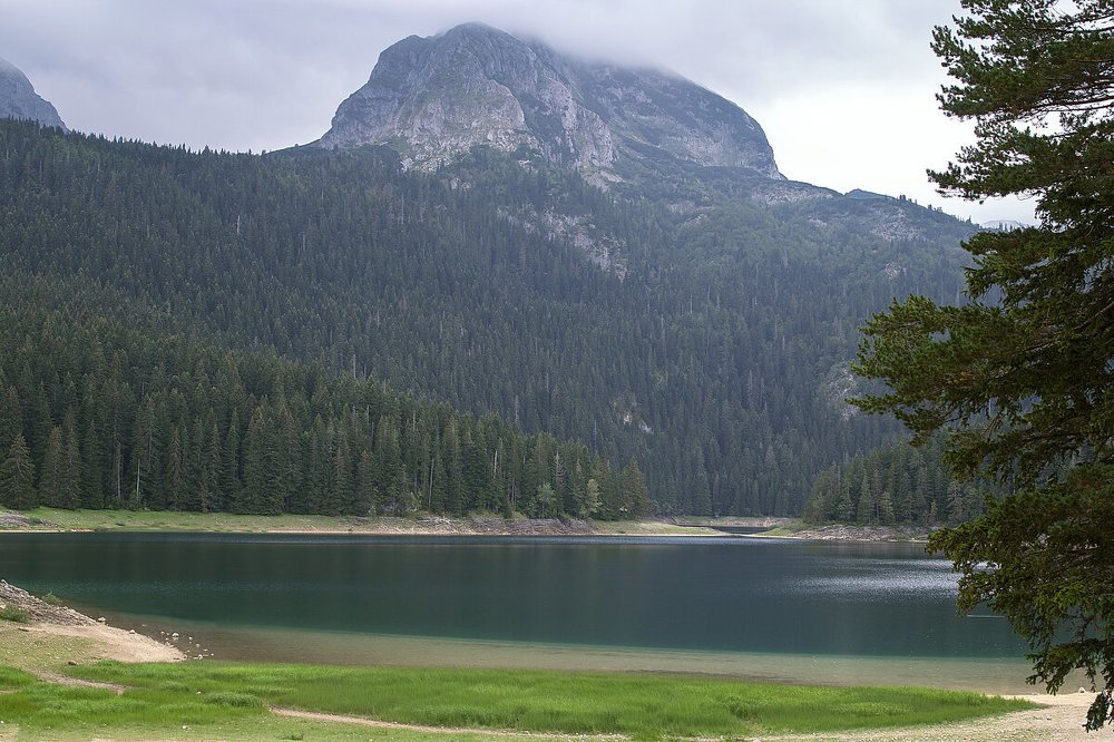 Photograph by Елена Гусева