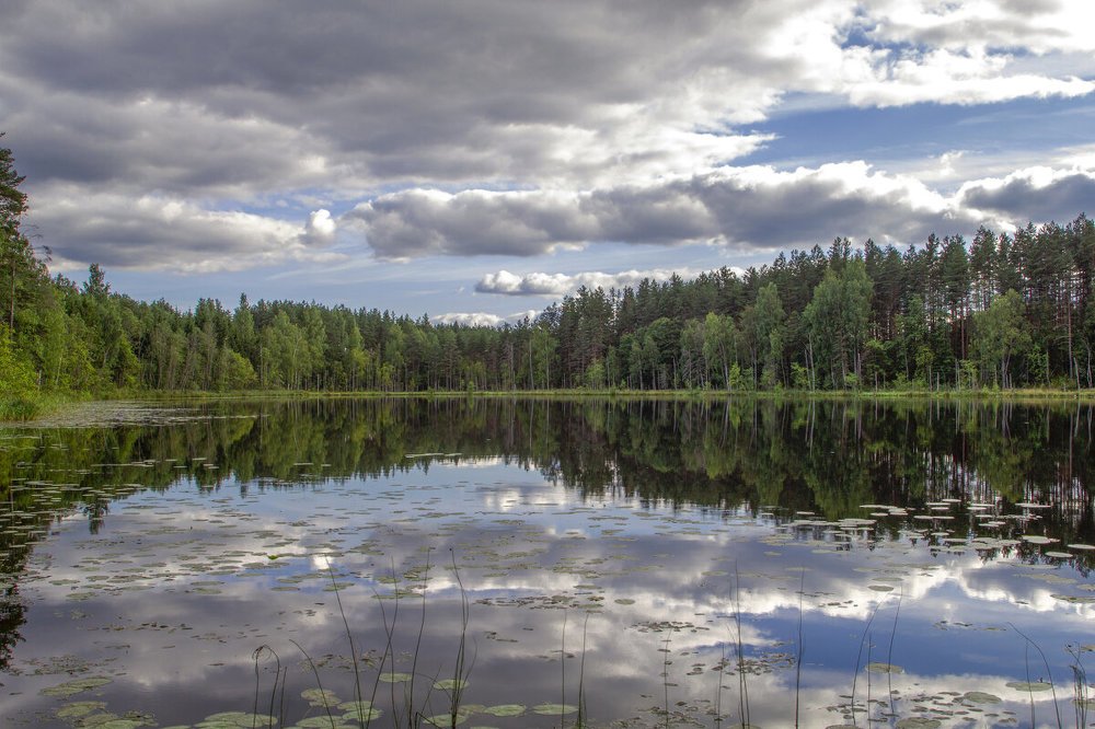 Photograph by Елена Гусева