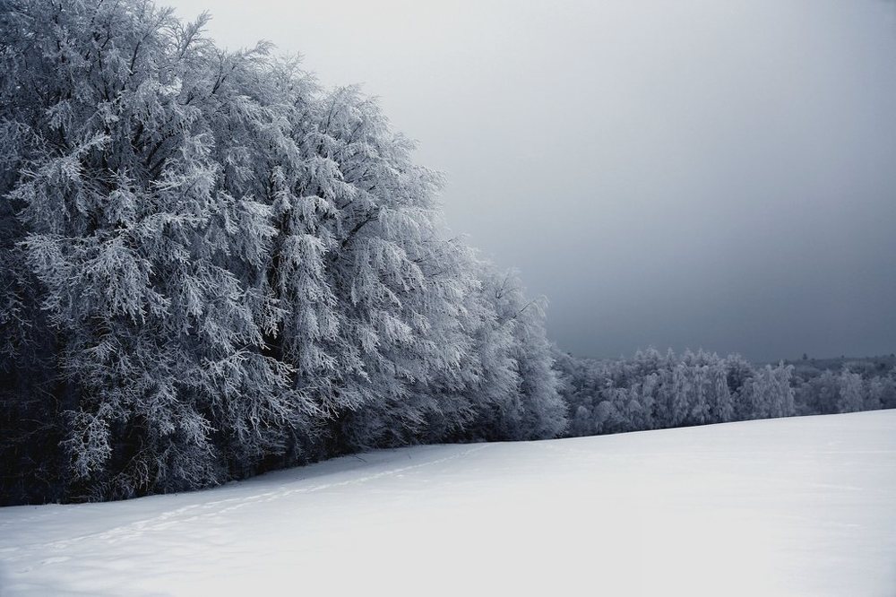 Photograph by Michał Fandysz