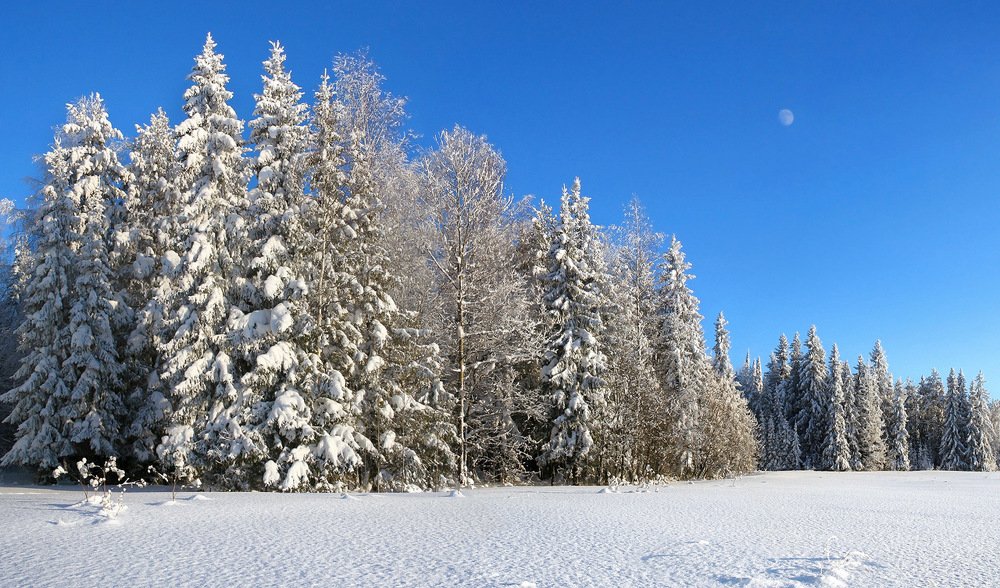 Январь, минус тридцать пять