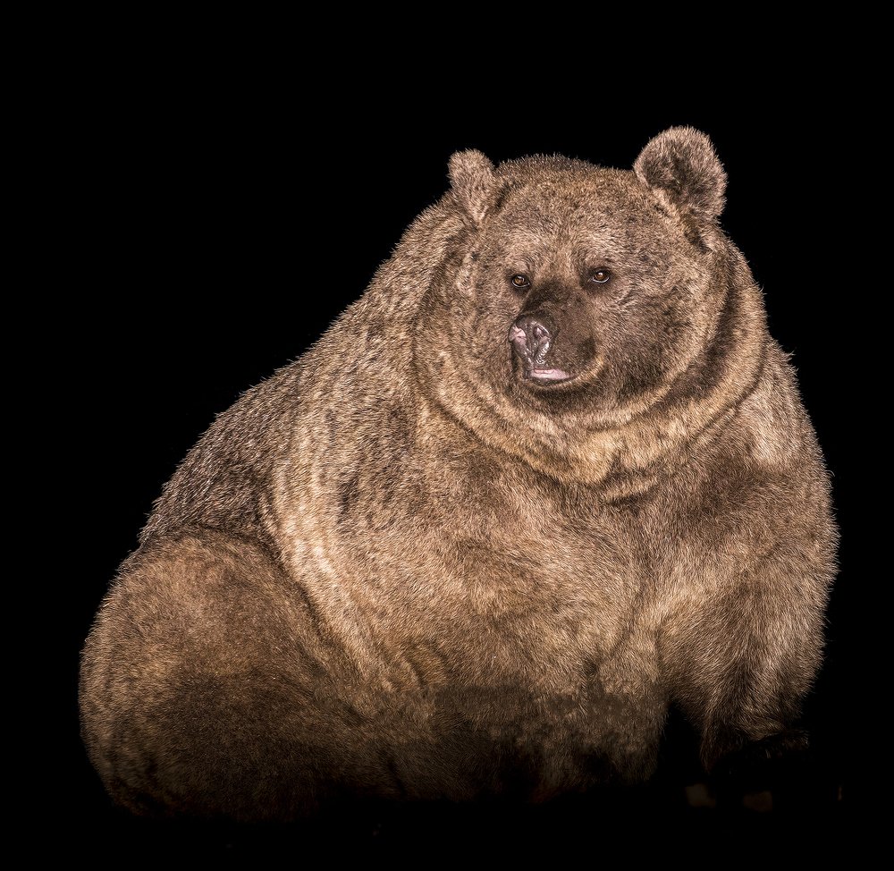 Photograph by Murat TOPAL