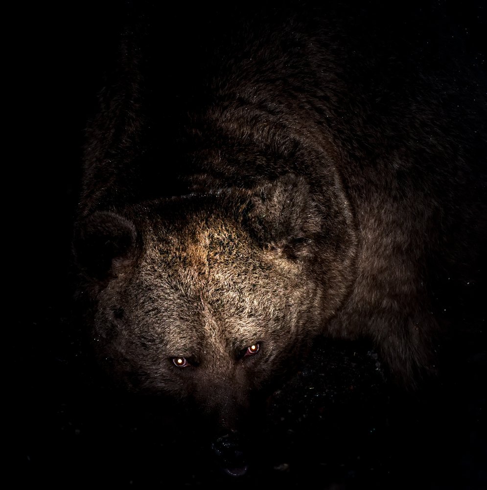 Photograph by Murat TOPAL