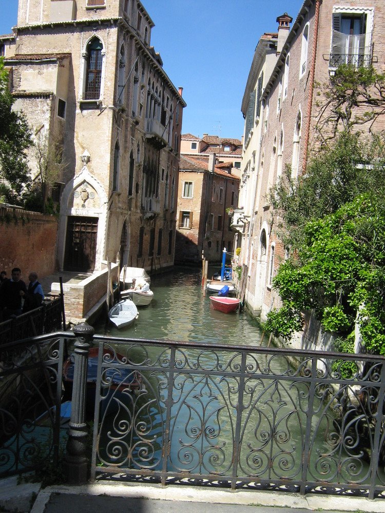 Photograph by ирина токарева