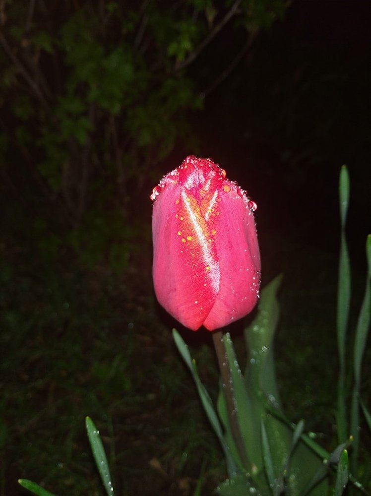 Фотография автора Андрей Малеев