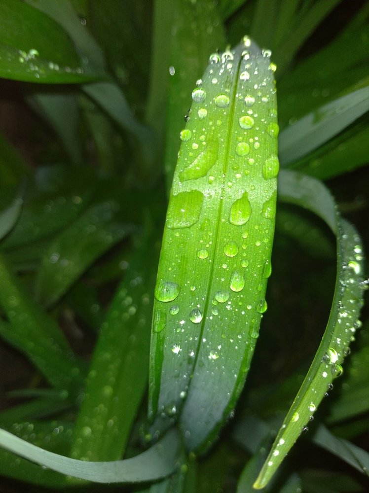 Фотография автора Андрей Малеев