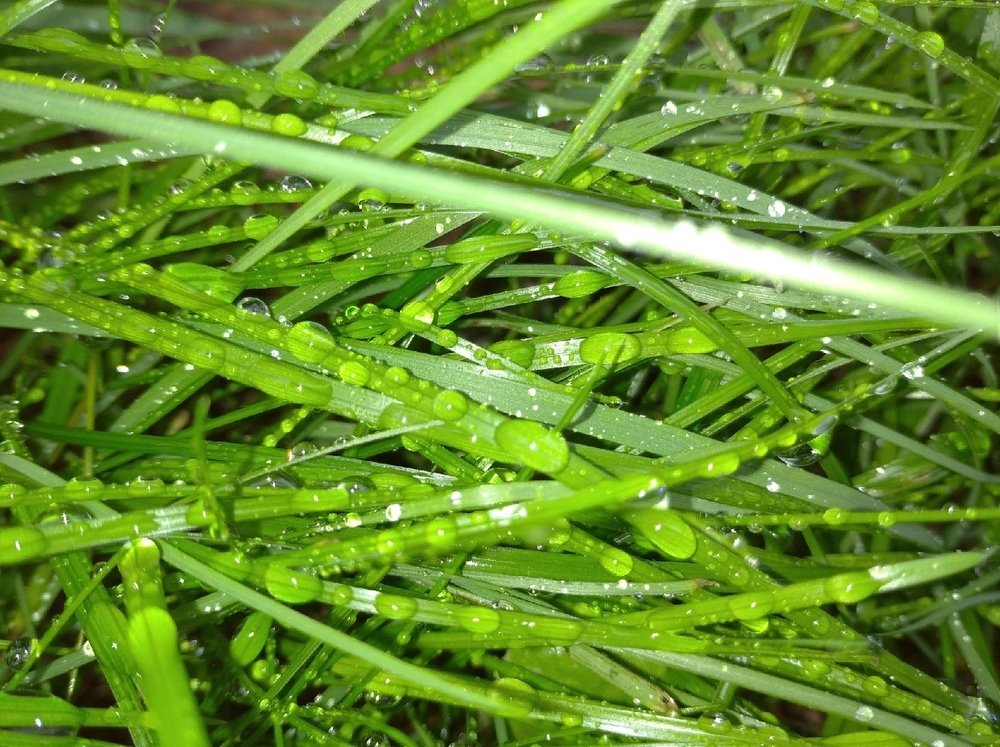 Фотография автора Андрей Малеев