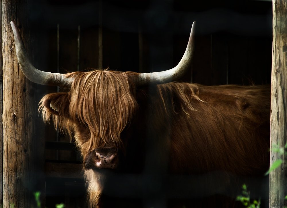 Photograph by Наталья Пирогова