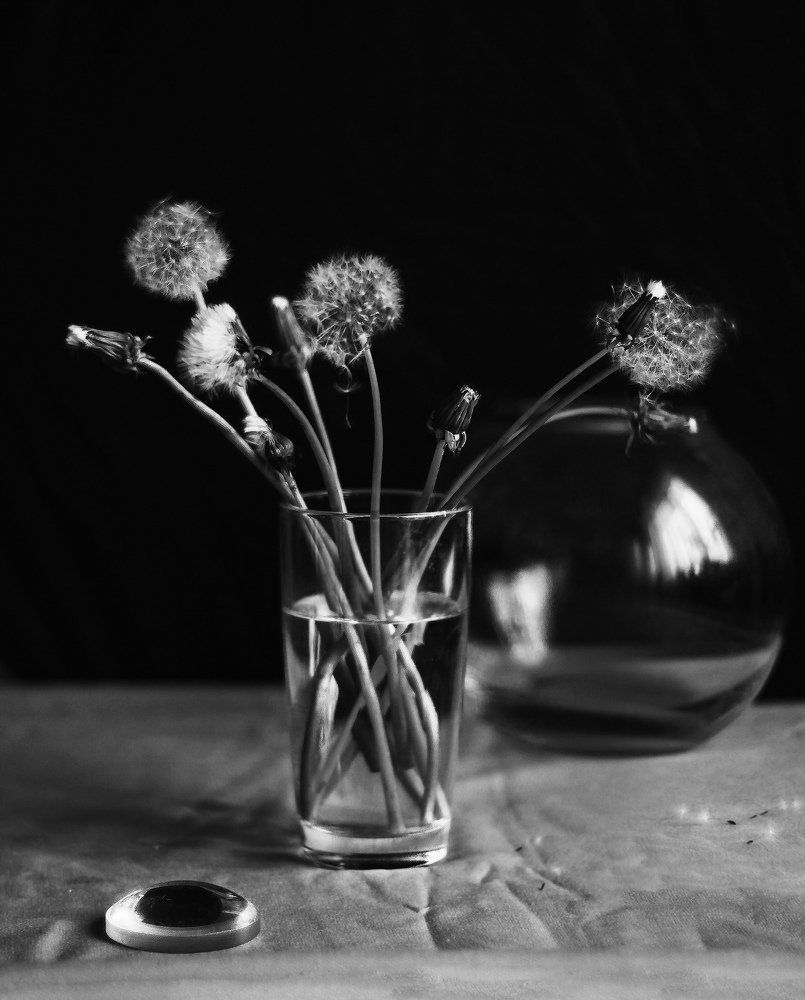 Photograph by Александра Пургаева