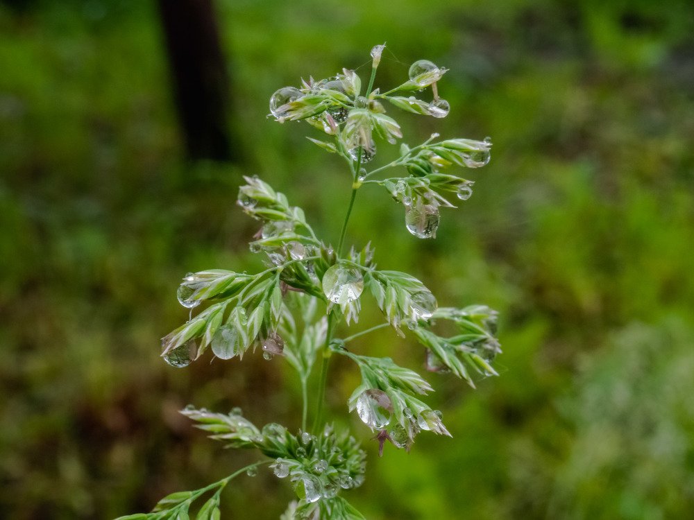 Photograph by mikhail goryachev