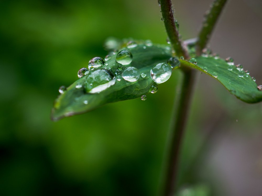 Photograph by mikhail goryachev