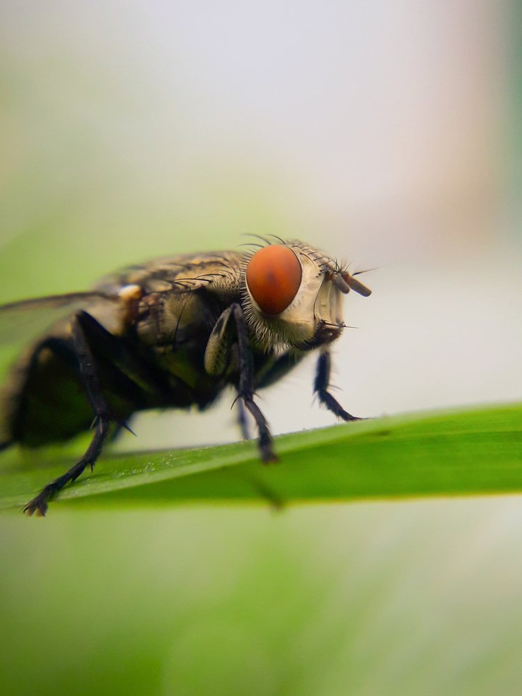 Photograph by Dhaval Solanki