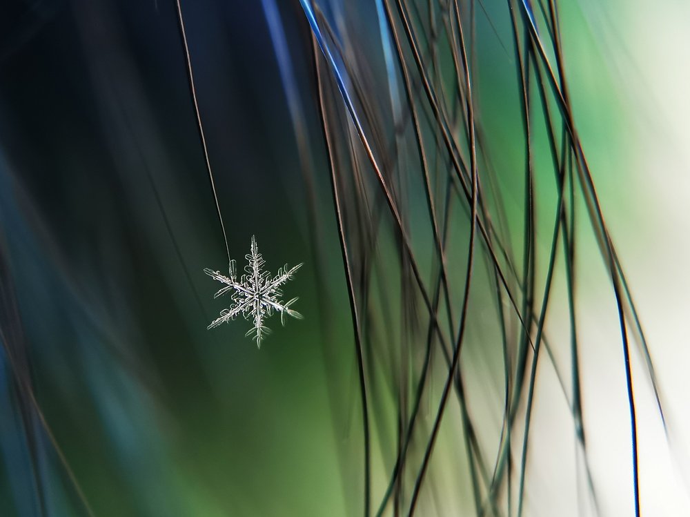 Photograph by Наталья