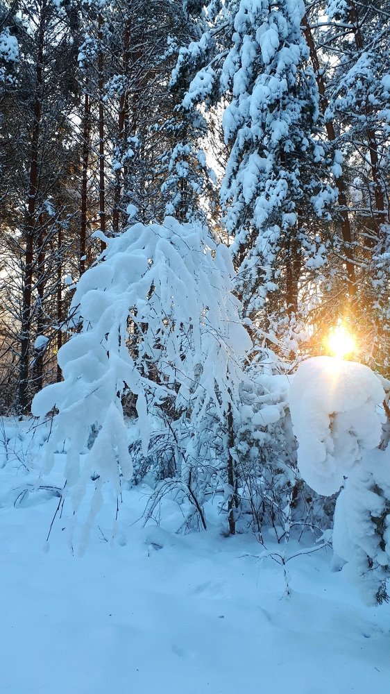 Photograph by Kristiina Soots