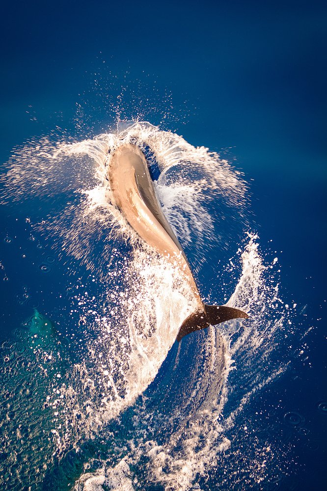 Photograph by Валерий Гнатюк