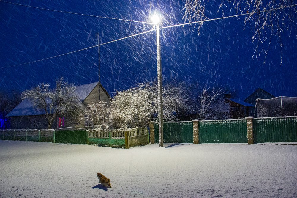 первое утро нового года