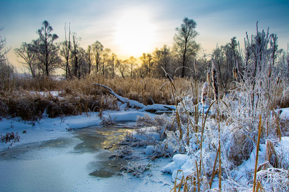 Photograph by Сергей Шабалин