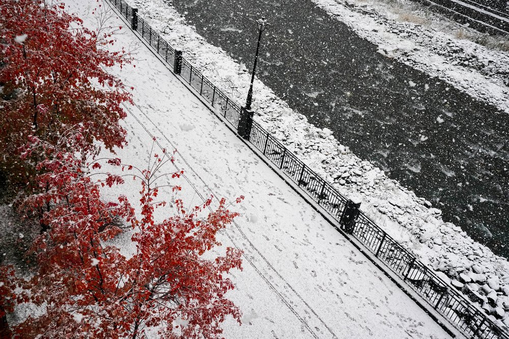 Photograph by Арина Стрябчева