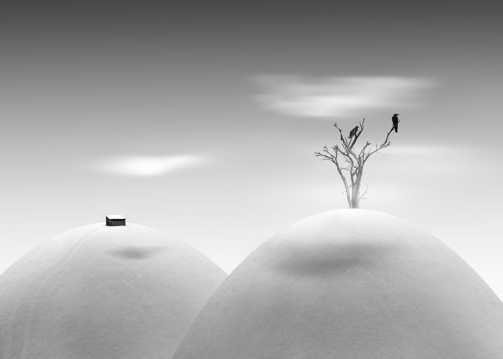 Photograph by mehrdad Alizadeh