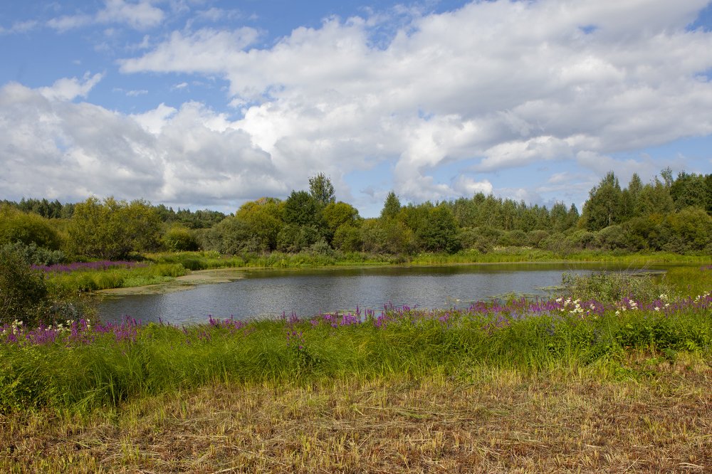 Photograph by Kuzmichev Alexey