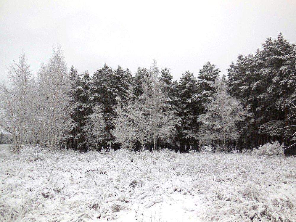 Photograph by Татьяна Иваненкова