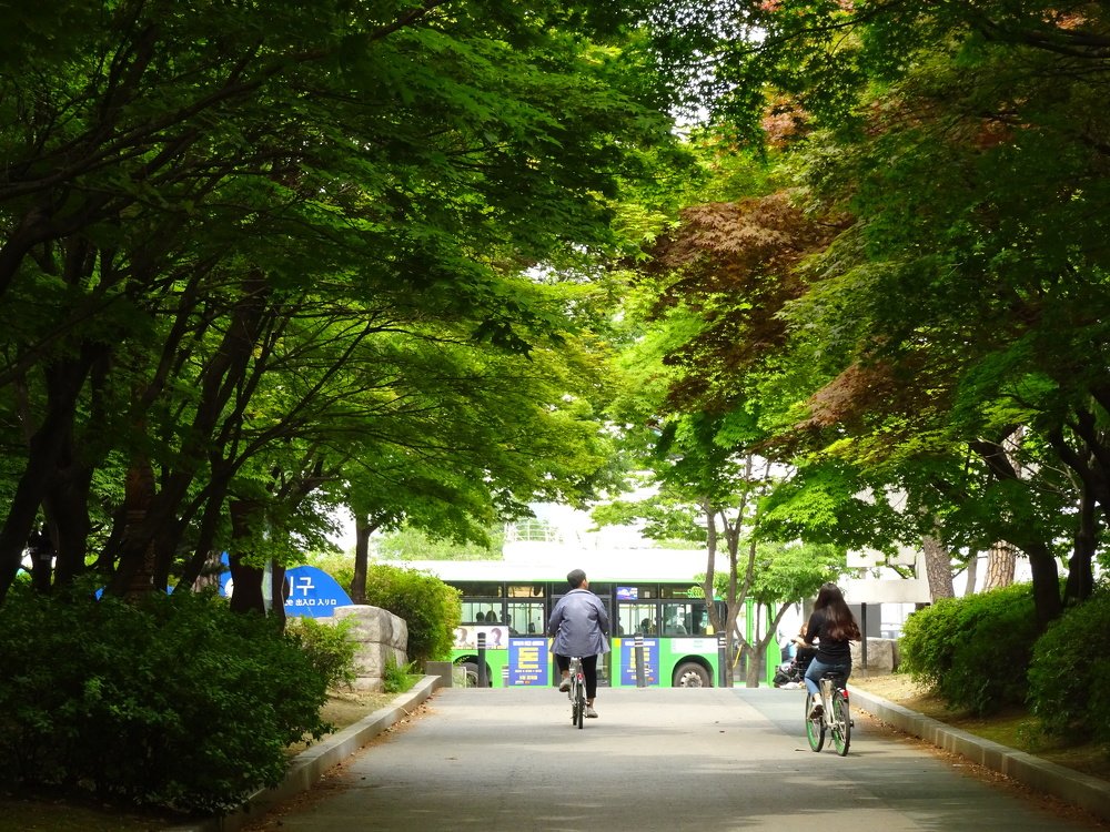 Photograph by Арина Стрябчева