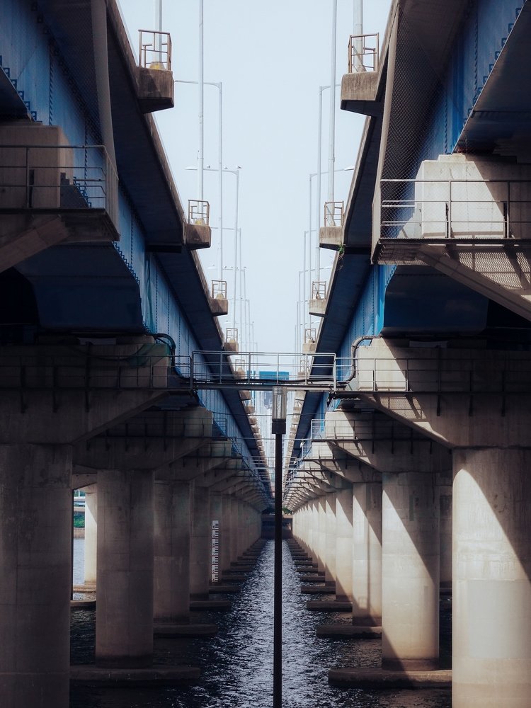 Photograph by Арина Стрябчева