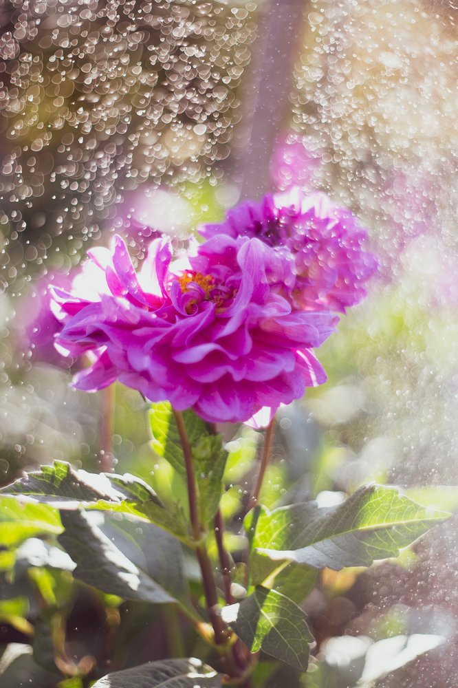 Photograph by Tatiana Kurilas