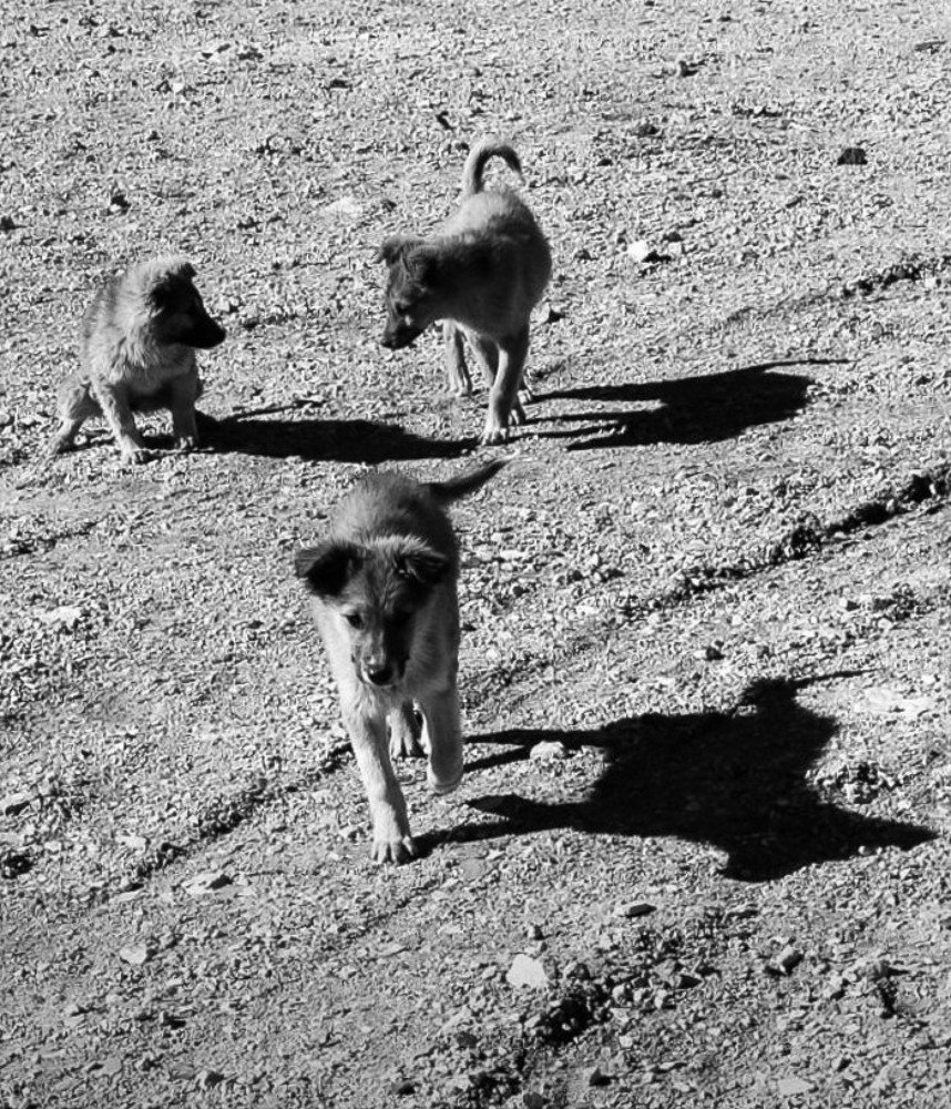 Фотография автора Валентина Рихмаер