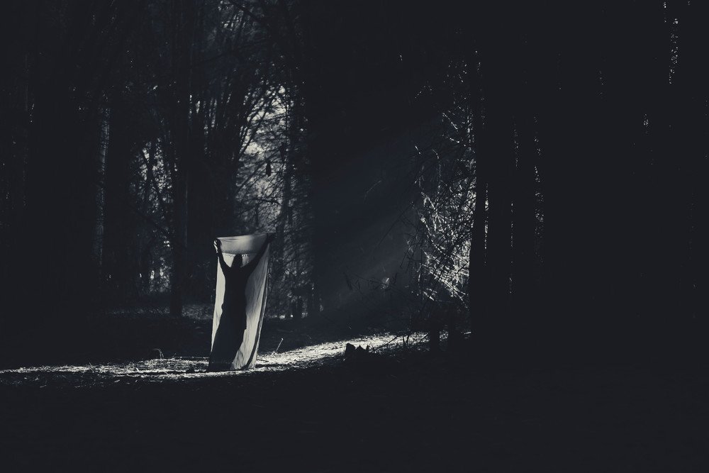 Фотография автора Vijay Richhiya