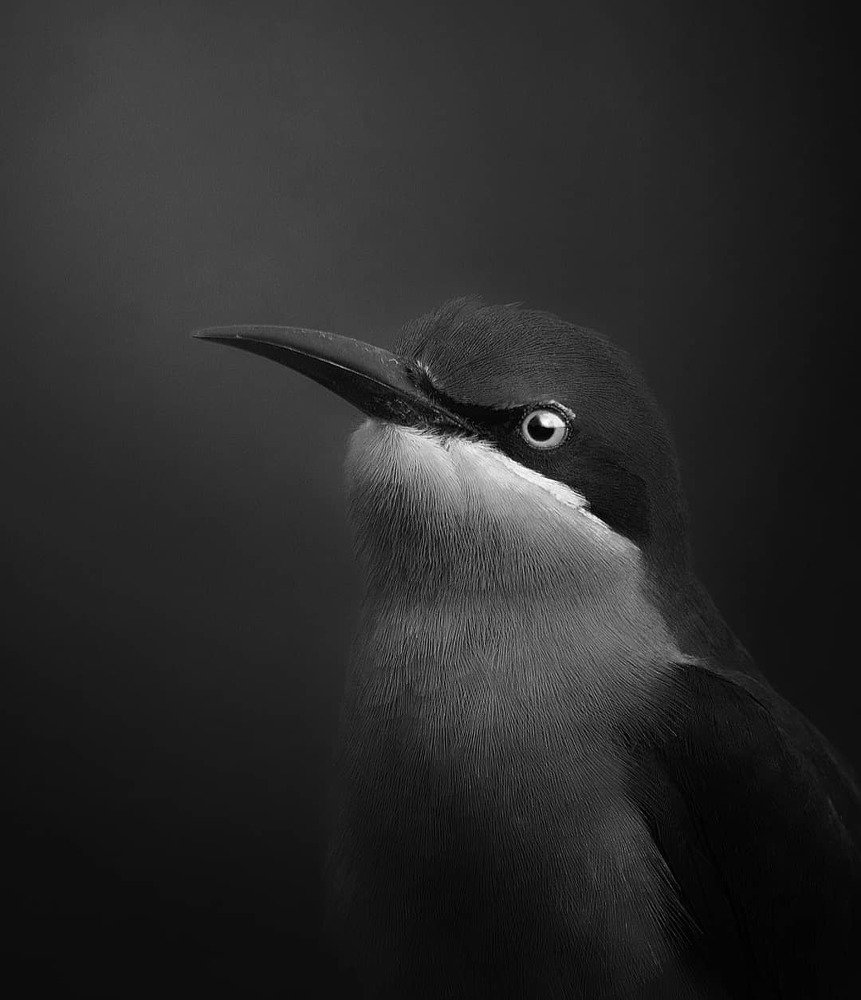 Photograph by Anirudh Vidyabhushan