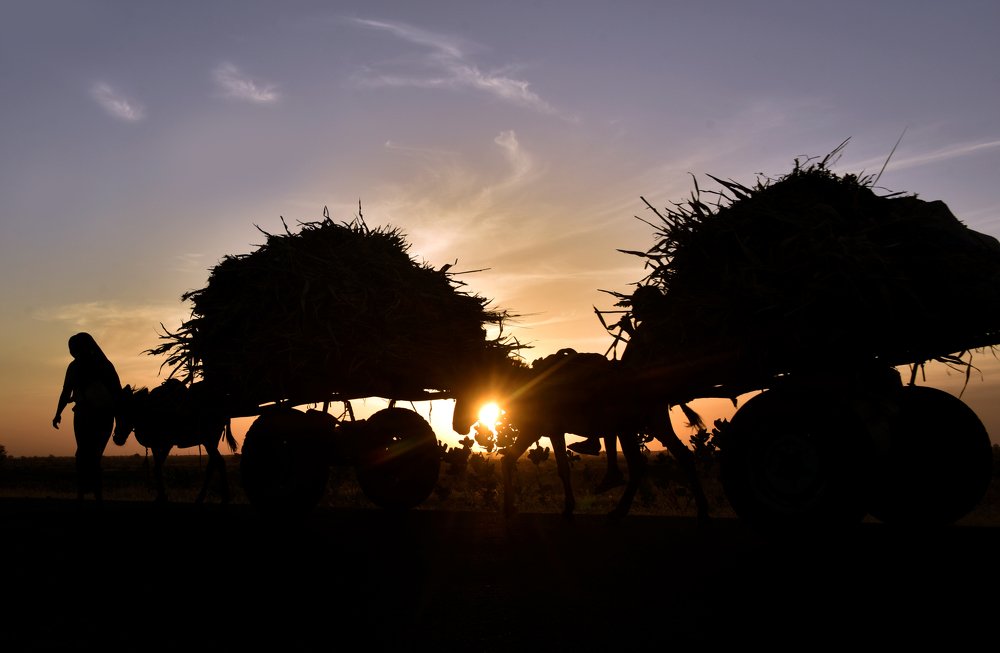 Photograph by ahmed classic