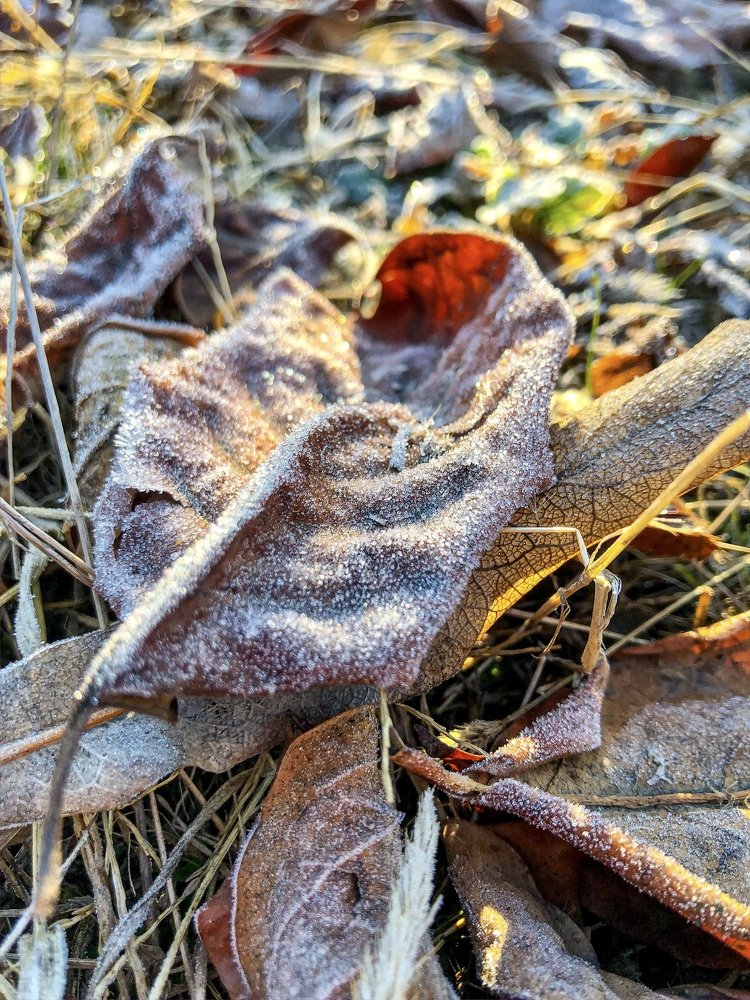 Photograph by Levan Svanidze