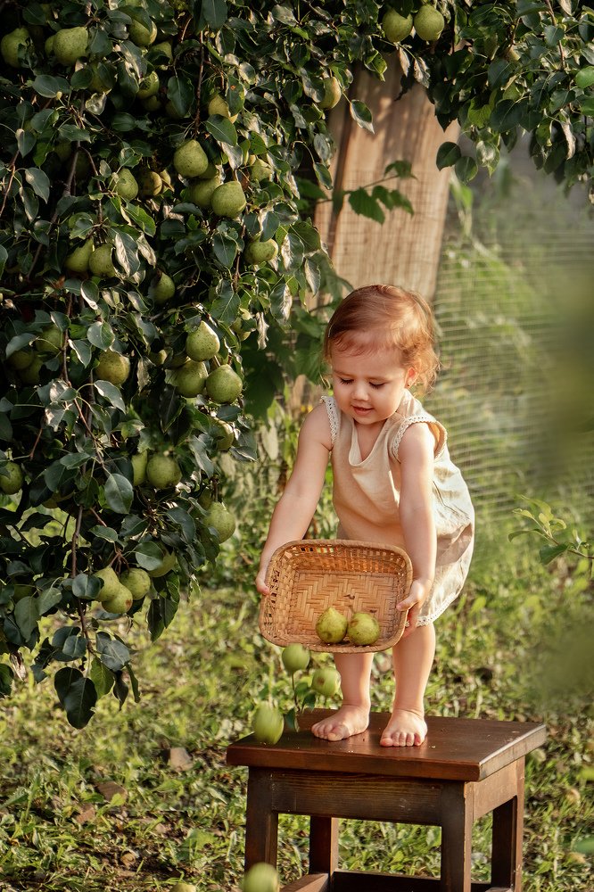 Photograph by Юлия Джура