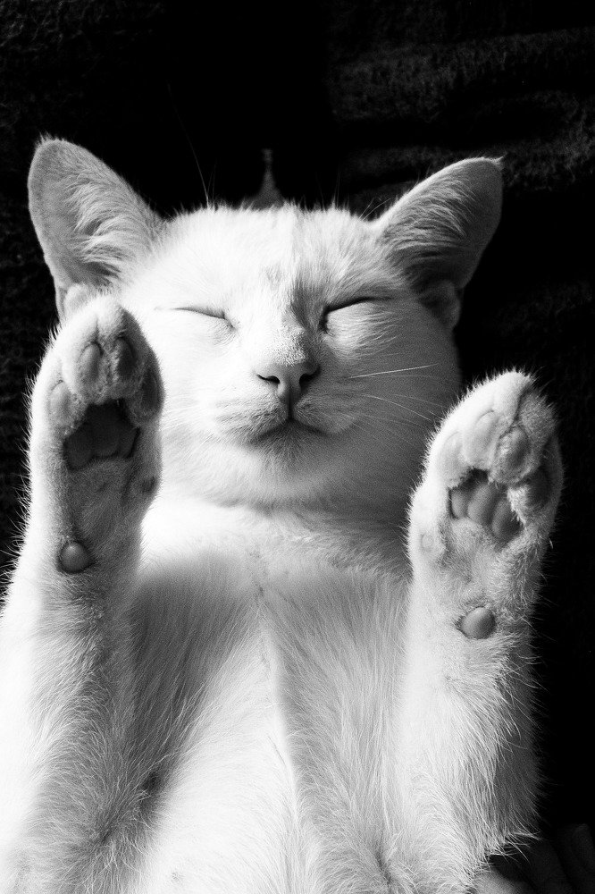 Photograph by Наталья Кузнецова