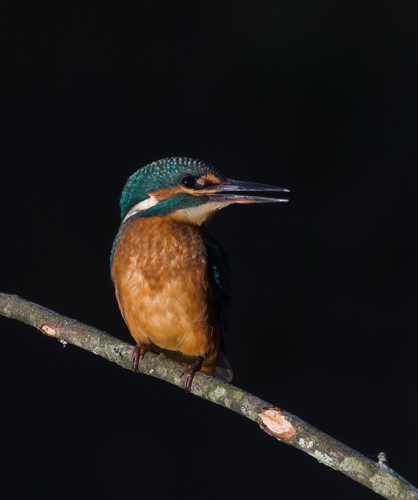 Photograph by Luis Miguel Rivas