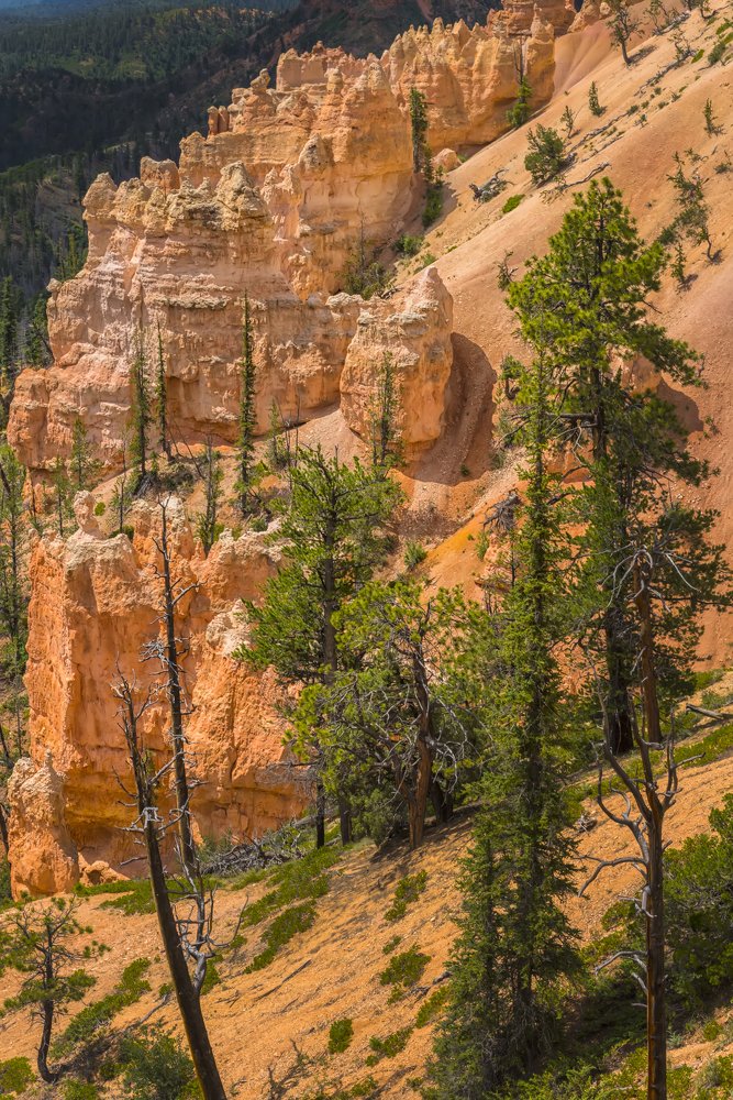 Photograph by Анна Кривицкая