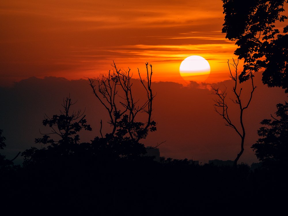 Photograph by Матвей Матвеев