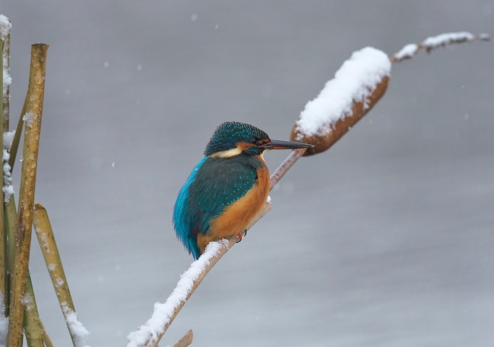 Photograph by Олег Есиков