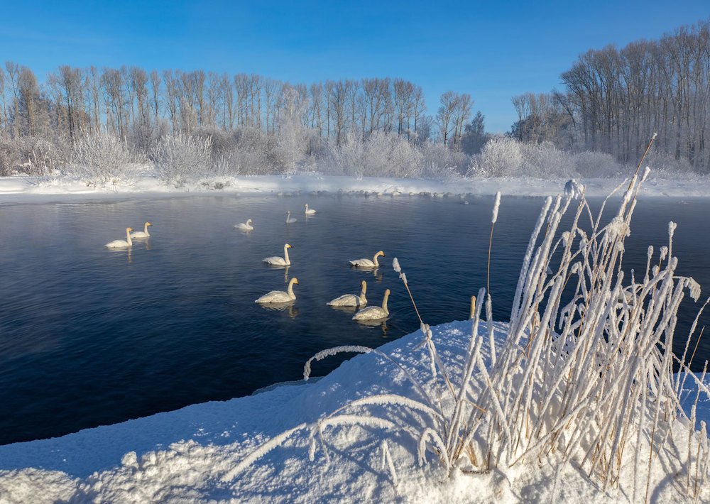 Фотография автора Владимир Русских