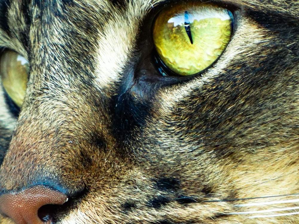 Photograph by Анжелика Трошина