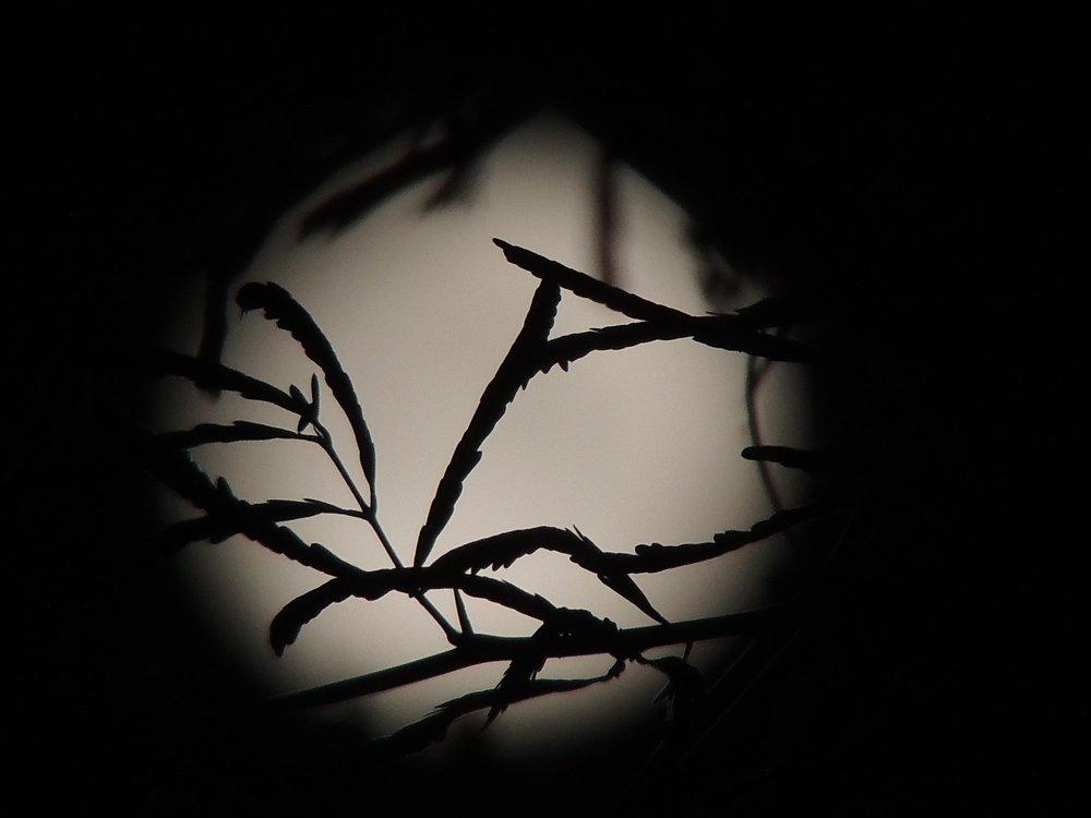 Photograph by Musab Malik