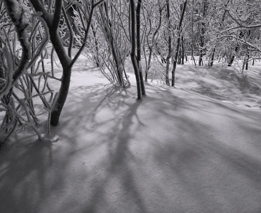 Photograph by Светлана Смирнова