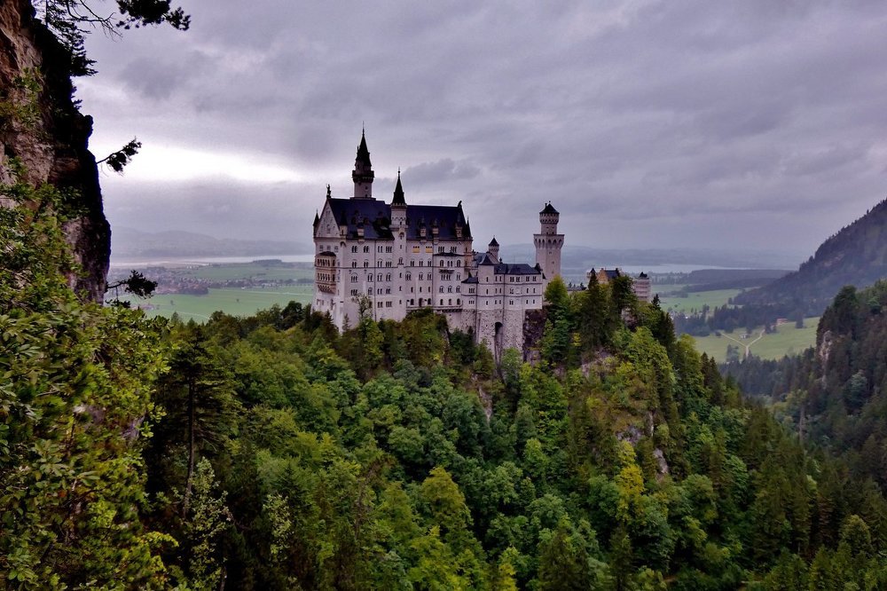 Белый замок, как лебедь, над лесом парит...