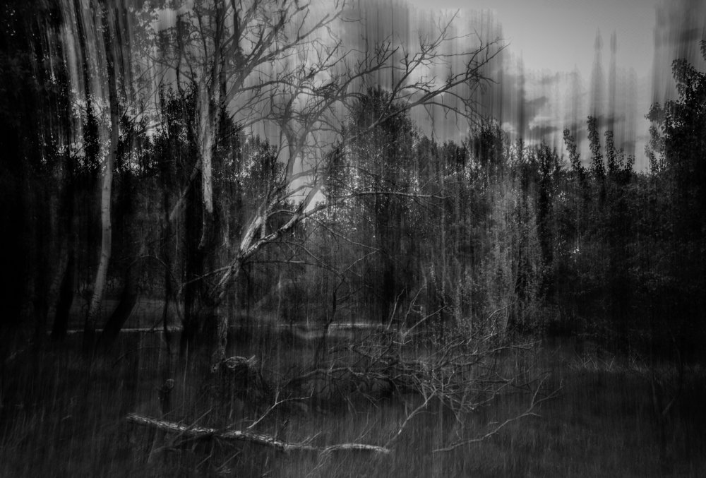 Photograph by Oskár Piller